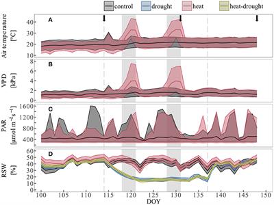 Heat Waves Alter Carbon Allocation and Increase Mortality of <mark class="highlighted">Aleppo</mark> Pine Under Dry Conditions